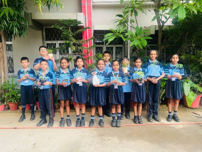 Grow More Trees Activity Primary Wing